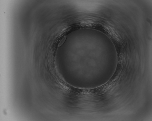 X0000093491297200710121458