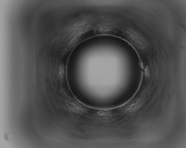 X0000093491299200710121458