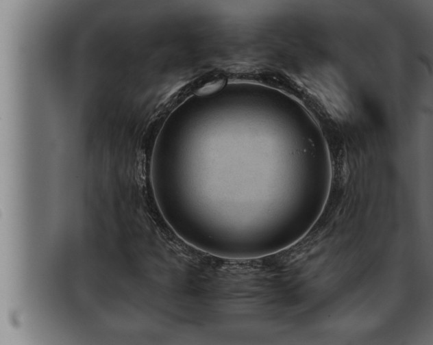 X0000093491301200710121458