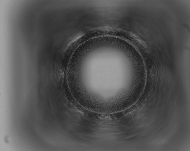 X0000093491302200710121458