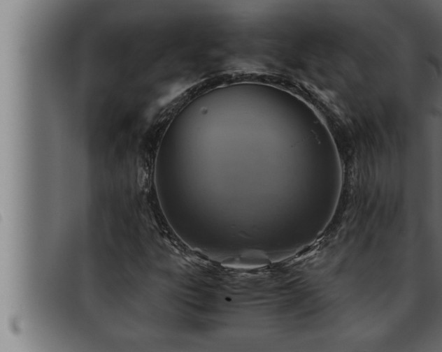 X0000093491303200710121458