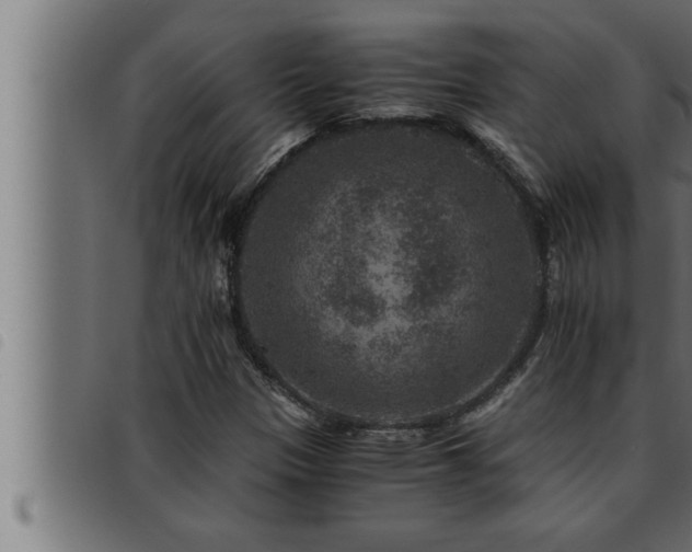 X0000093491305200710121458