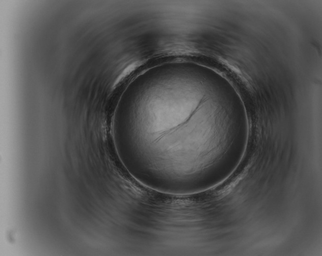 X0000093491306200710121458