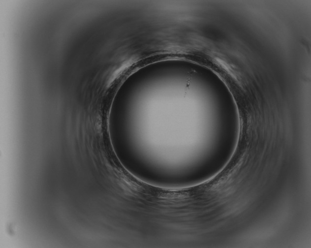 X0000093491307200710121458