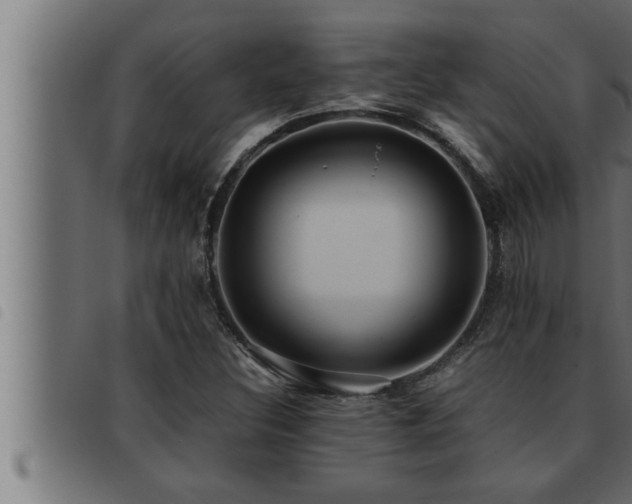 X0000093491308200710121458