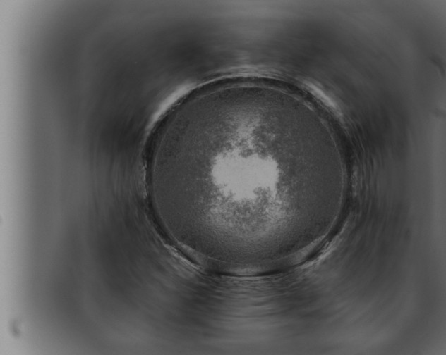 X0000093491310200710121458
