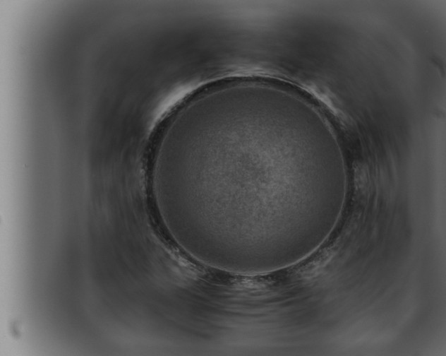 X0000093491311200710121458
