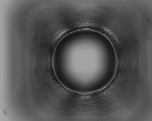 X0000093491313200710121458