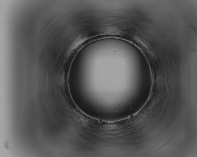 X0000093491315200710121458
