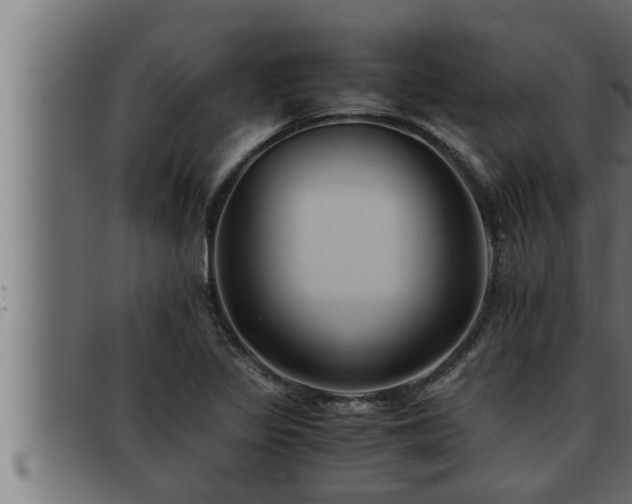 X0000093491317200710121458