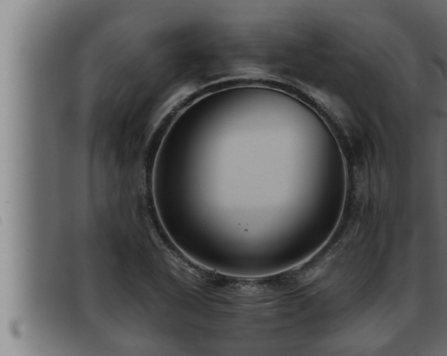 X0000093491318200710121458