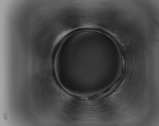 X0000093491319200710121458