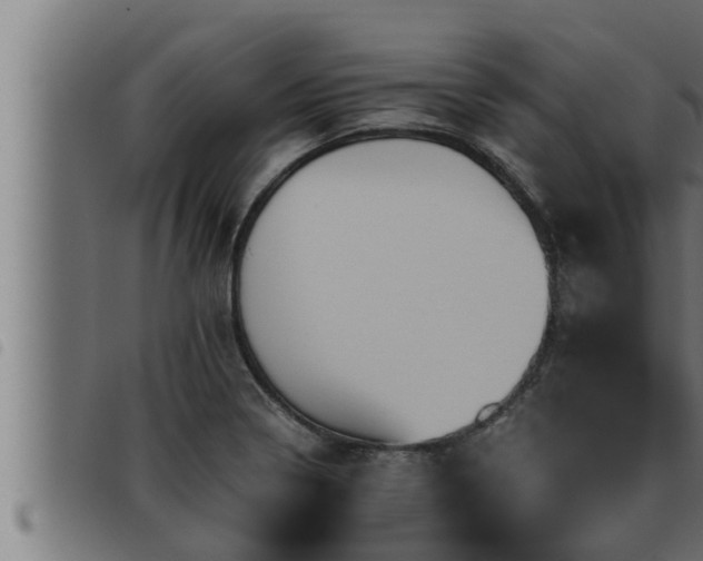 X0000093491322200710121458