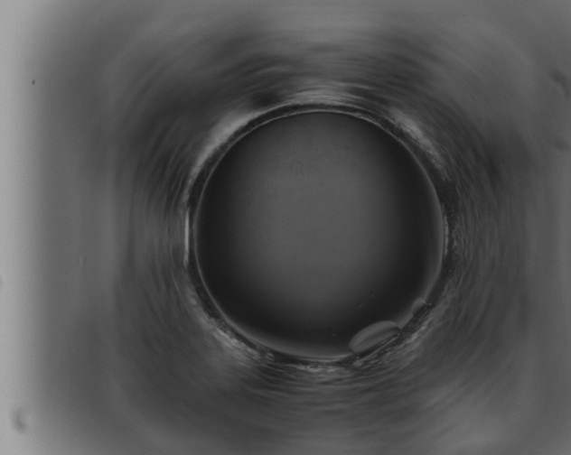 X0000093491323200710121458