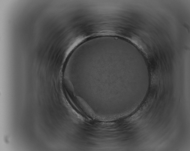 X0000093491325200710121458
