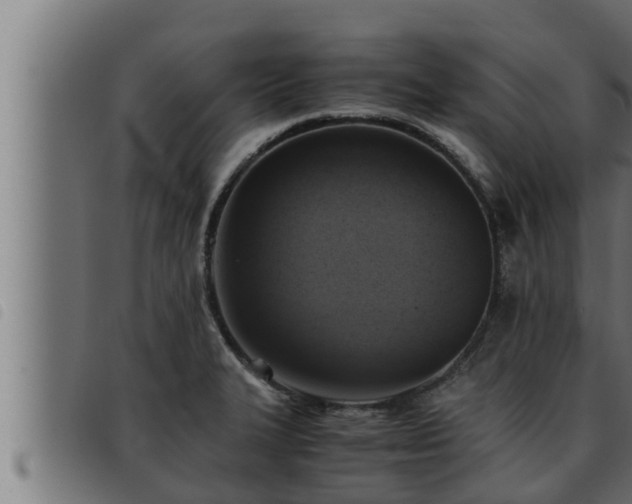 X0000093491327200710121458