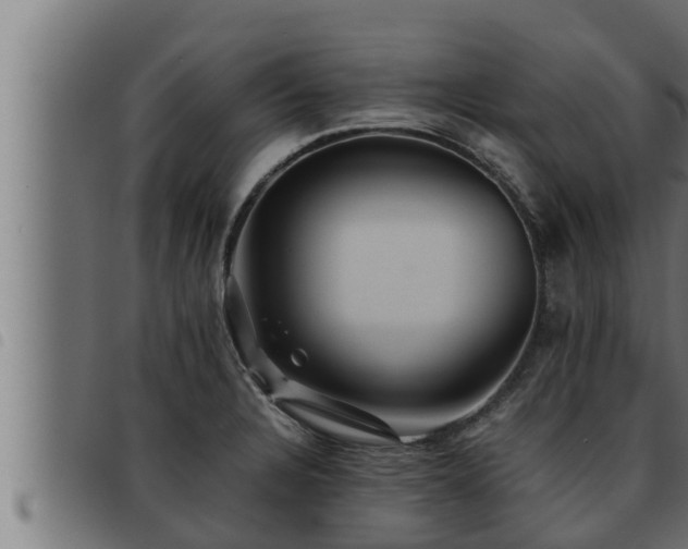 X0000093491328200710121458