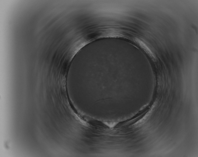 X0000093491329200710121458