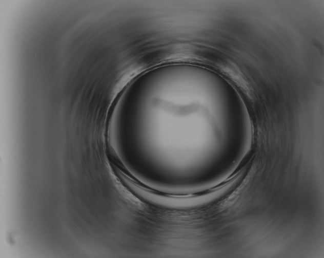X0000093491330200710121458