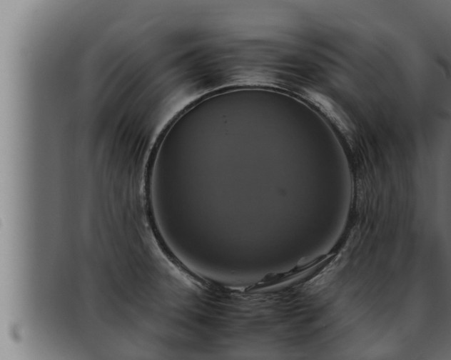 X0000093491331200710121458