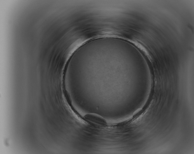 X0000093491333200710121458