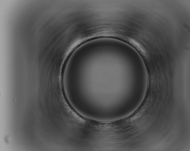 X0000093491334200710121458