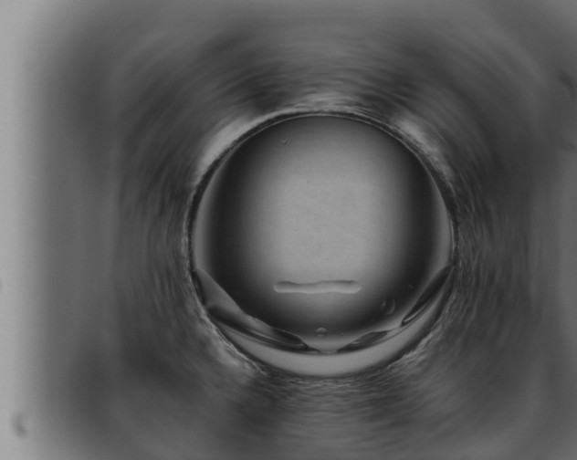 X0000093491336200710121458