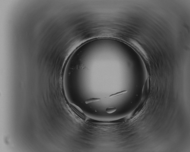 X0000093491340200710121459