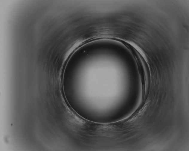 X0000093491341200710121459