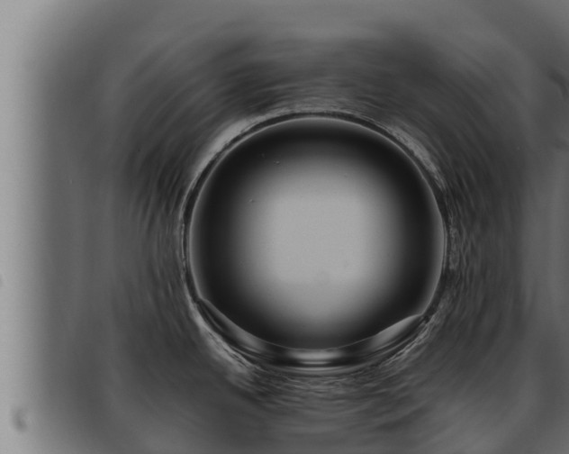 X0000093491342200710121459