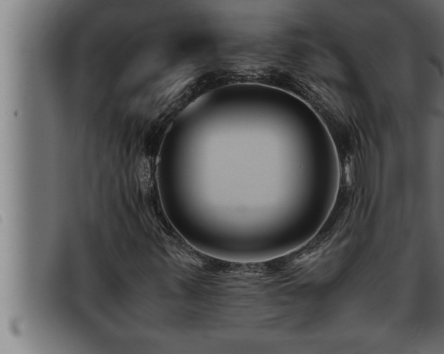 X0000093491347200710121458