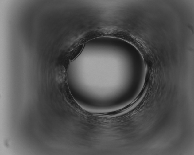 X0000093491349200710121458