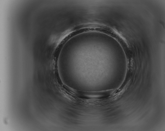 X0000093491352200710121458
