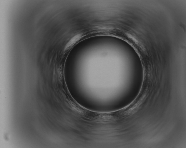 X0000093491354200710121458