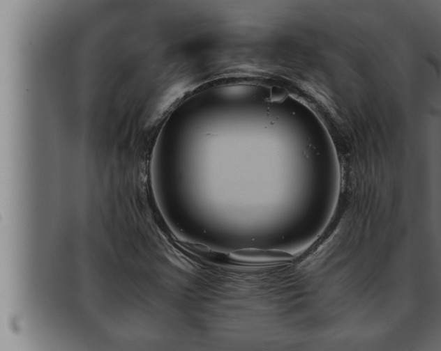 X0000093491355200710121458