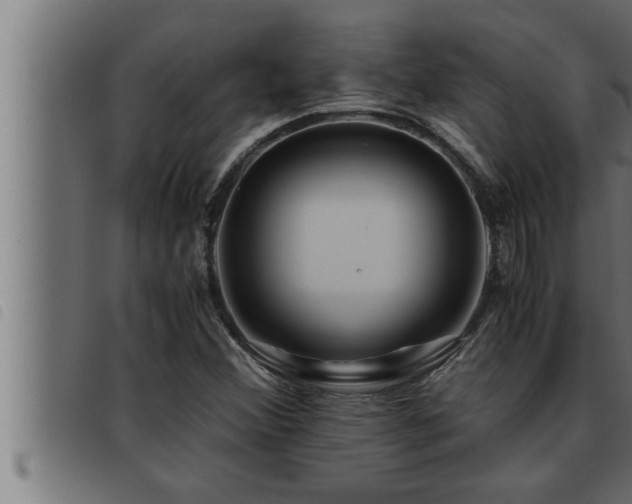 X0000093491356200710121458
