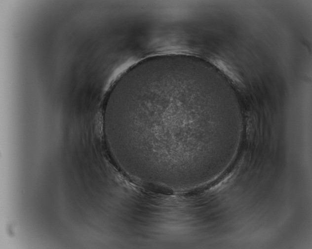 X0000093491358200710121458