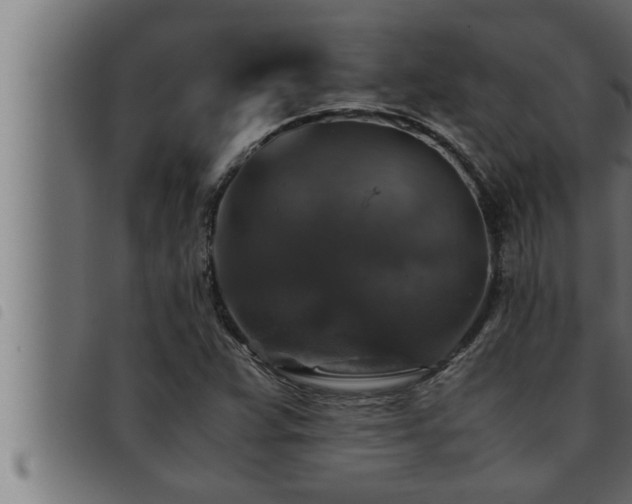 X0000093491359200710121458