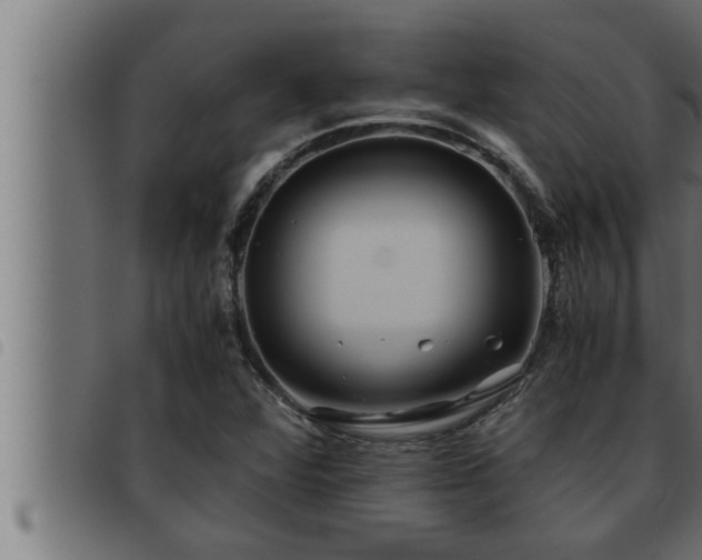 X0000093491360200710121458