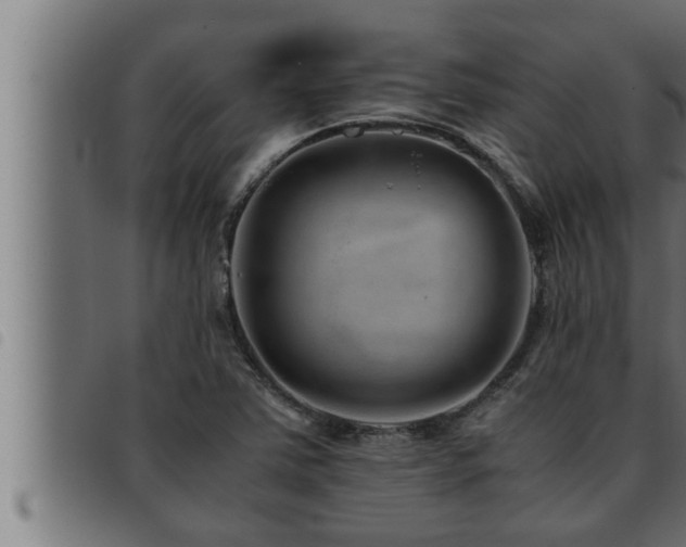 X0000093491363200710121458