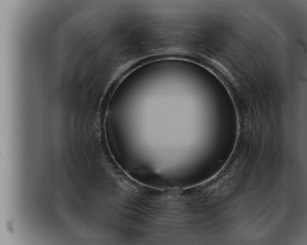 X0000093491364200710121458