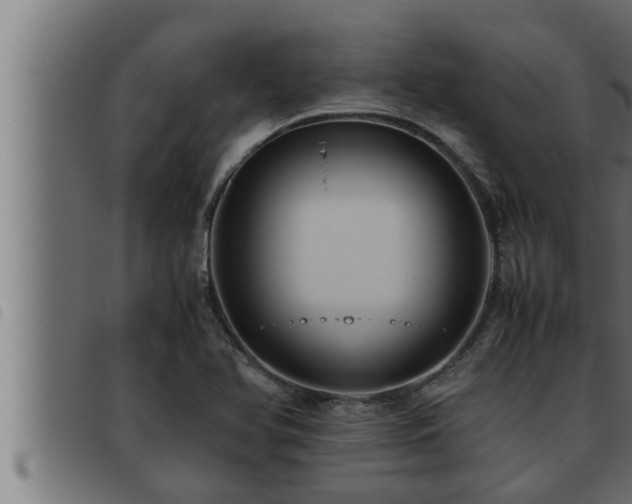 X0000093491366200710121458