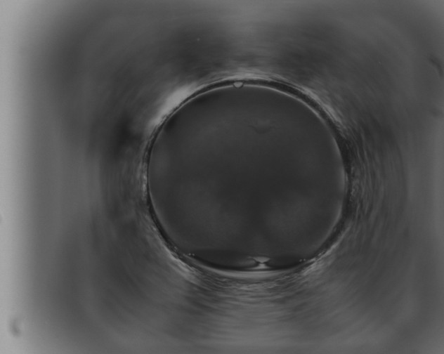 X0000093491367200710121458