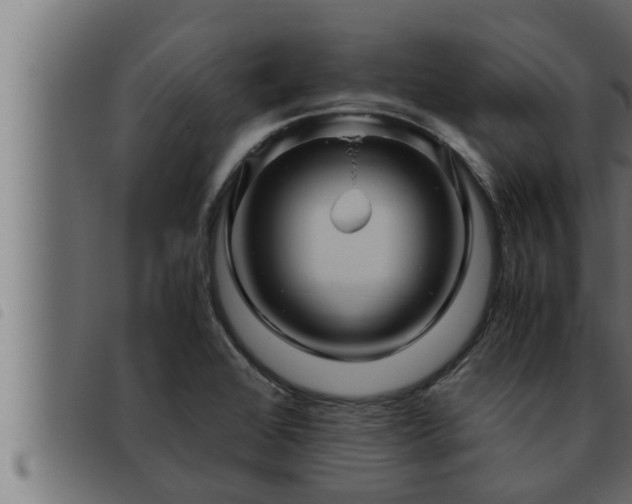 X0000093491368200710121458