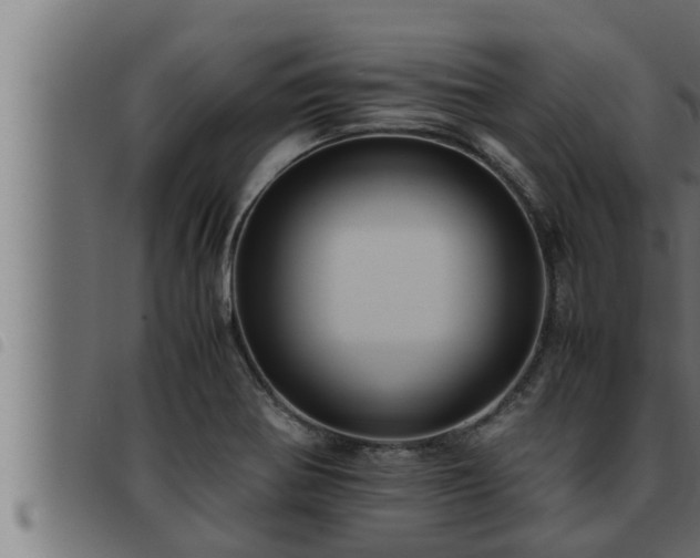 X0000093491370200710121458