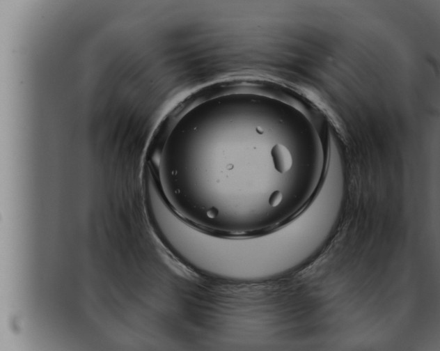 X0000093491372200710121458