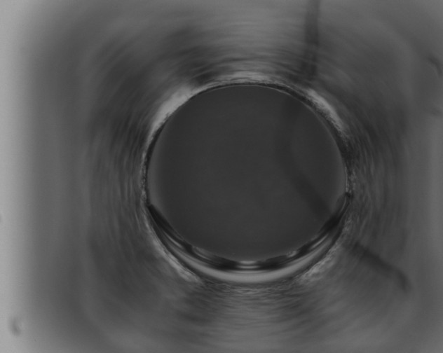 X0000093491373200710121458