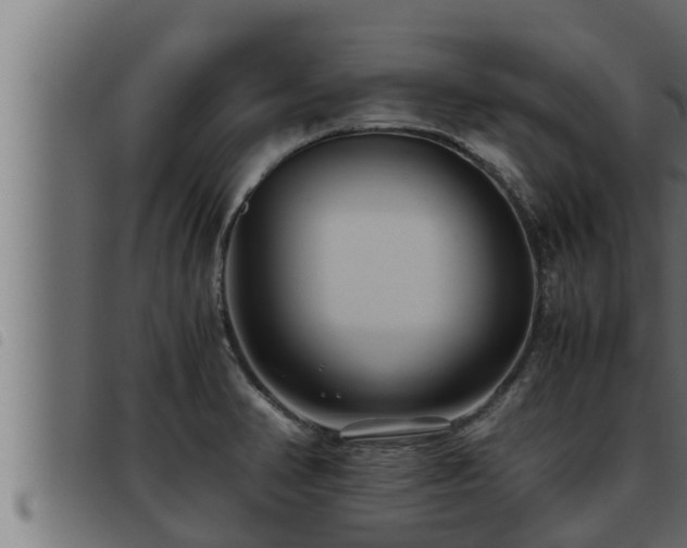 X0000093491374200710121458