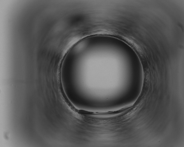 X0000093491375200710121458