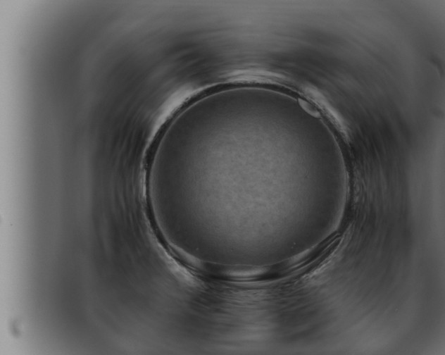 X0000093491376200710121458